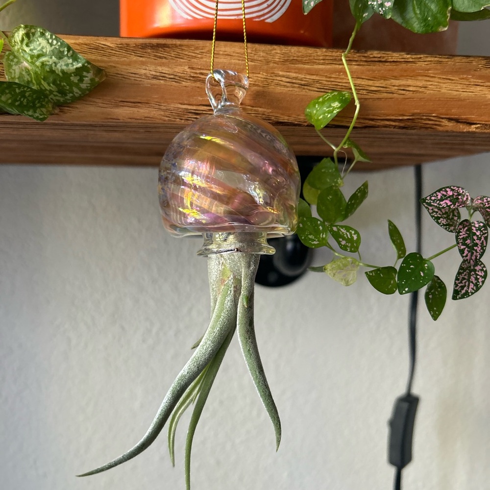 Iridescent Jellyfish Glass Air Plant Holder